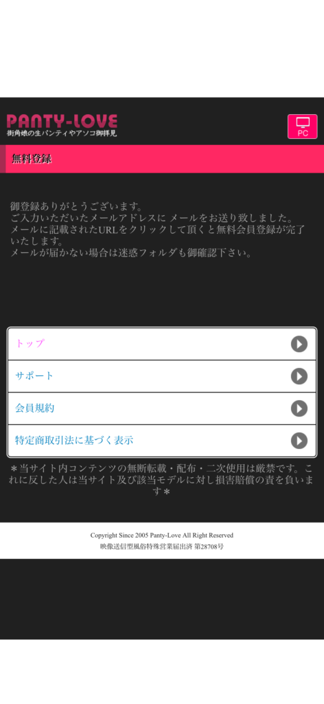 Pantalla de correo de confirmación enviado de PANTY-LOVE