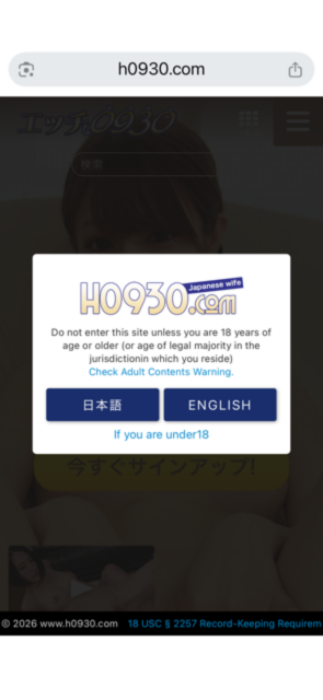 Pantalla de verificación de edad de H0930
